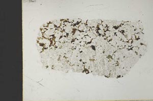 Plane Polarized, S41026