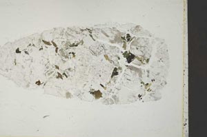 Plane Polarized, S41029
