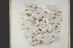Plane Polarized, S41036