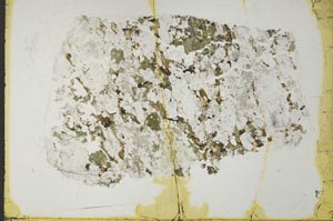 Plane Polarized, S41038