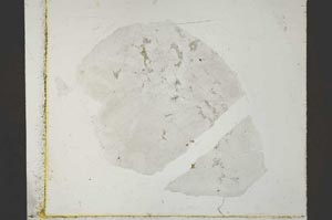 Plane Polarized, S41039