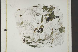 Plane Polarized, S41041