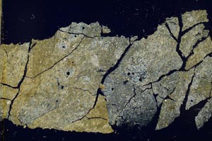 Cross Polarized, S41044