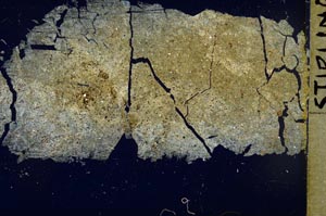 Cross Polarized, S41044/A