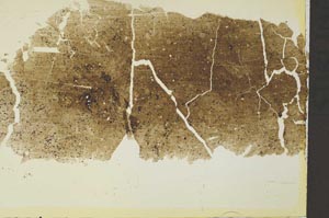 Plane Polarized, S41044/A