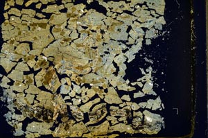 Cross Polarized, S41047