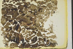 Plane Polarized, S41047