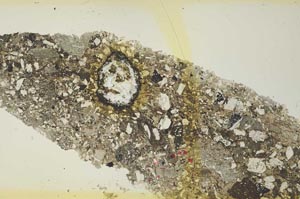 Plane Polarized, S41051