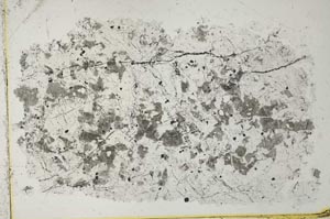 Plane Polarized, S41054