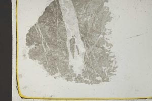 Plane Polarized, S41055