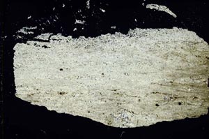 Cross Polarized, S41058