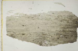 Plane Polarized, S41058