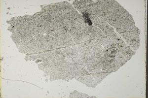 Plane Polarized, S41067