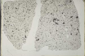 Plane Polarized, S41068