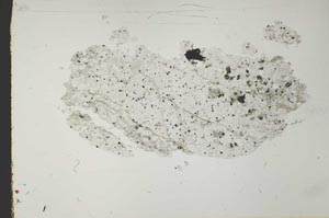 Plane Polarized, S41071