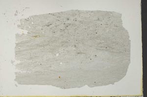 Plane Polarized, S41072