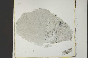 Plane Polarized, S41073