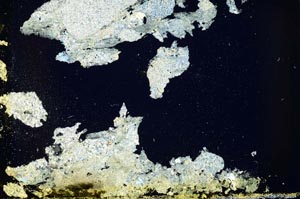 Cross Polarized, S41077