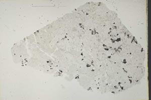Plane Polarized, S41081
