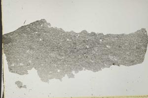 Plane Polarized, S41083