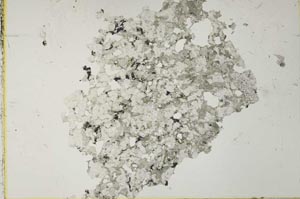 Plane Polarized, S41085