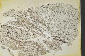 Plane Polarized, S41087