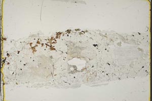 Plane Polarized, S41105