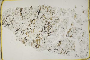 Plane Polarized, S41115