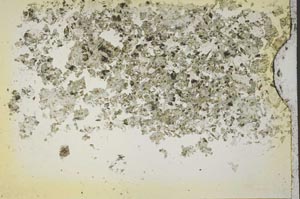 Plane Polarized, S41120