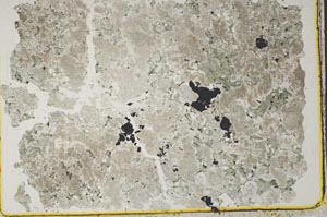Plane Polarized, S41121