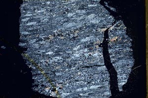 Cross Polarized, S41130