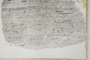 Plane Polarized, S41134