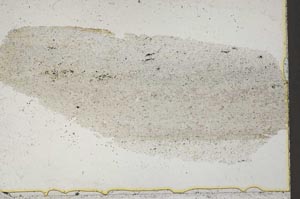 Plane Polarized, S41135