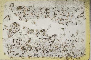 Plane Polarized, S41137