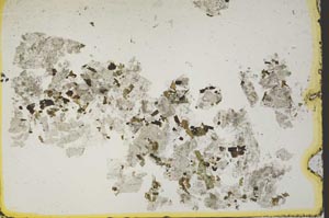 Plane Polarized, S41140
