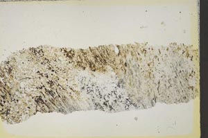 Plane Polarized, S41142