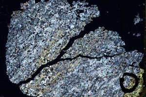 Cross Polarized, S41143