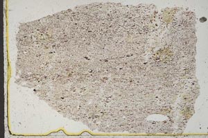 Plane Polarized, S41144