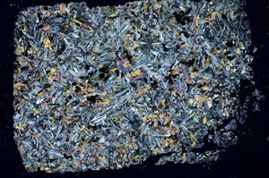 Cross Polarized, S41146