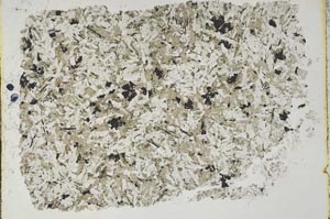 Plane Polarized, S41146