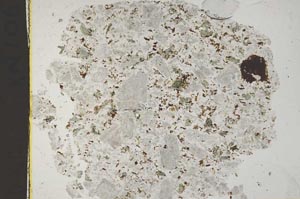 Plane Polarized, S41149