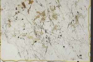 Plane Polarized, S41154