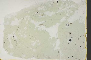 Plane Polarized, S41156