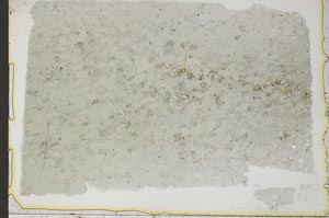 Plane Polarized, S41158