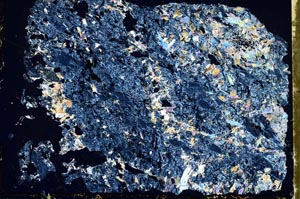 Cross Polarized, S41159