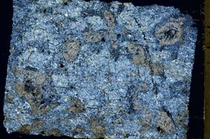 Cross Polarized, S41161