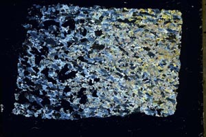 Cross Polarized, S41162