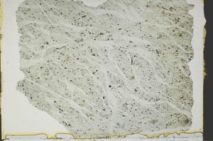 Plane Polarized, S41163