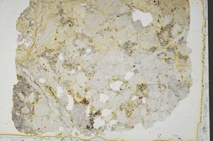 Plane Polarized, S41164