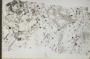 Plane Polarized, S41172